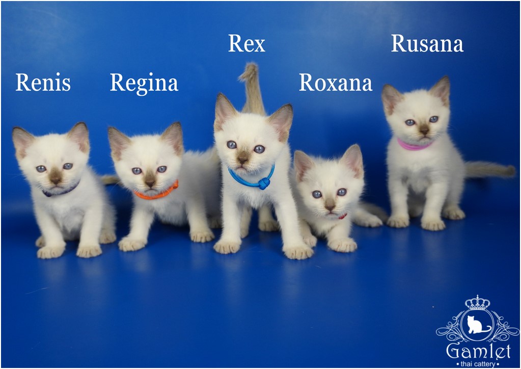 DSC00830x_name2 (Копировать)