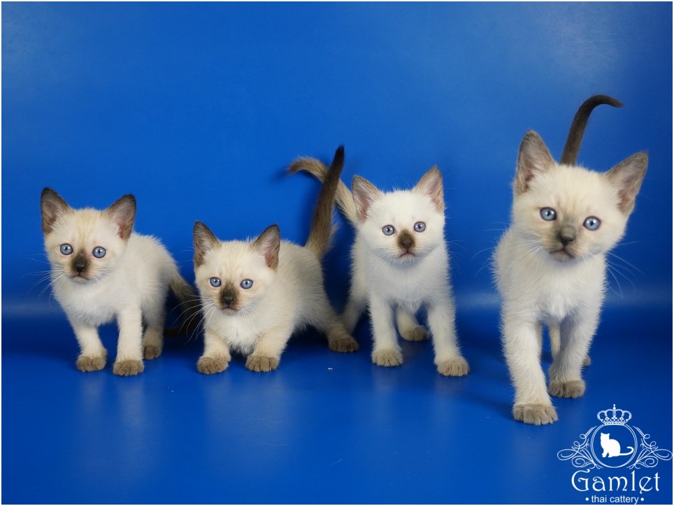 DSC01101x (Копировать)