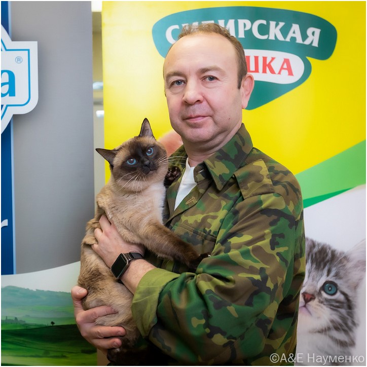 Тайский кот Theodore Gamlet окрас сил-пойнт