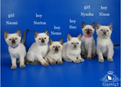 DSC00309x_name2 (Копировать)