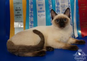 DSC00420x (Копировать)
