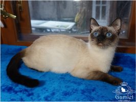 DSC00916x (Копировать)