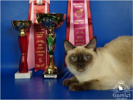 DSC01059x (Копировать)