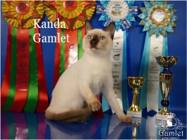 DSC02378x_name (Копировать)