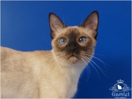 DSC02608xx (Копировать)