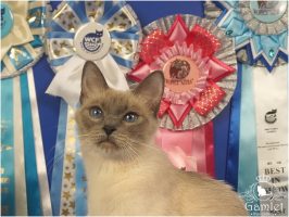 DSC02985xx (Копировать)