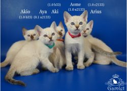 DSC03907x_name (Копировать)