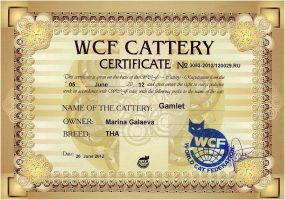 Gamlet_WCF_05June2012 (Копировать)