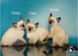 IMG_9823x_name (Копировать)