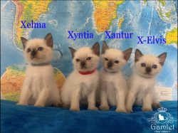 IMG_20260822_085232_name (Копировать)
